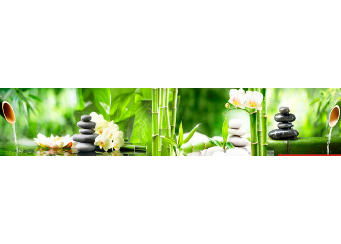 Стеновая панель 200 ПР чистый источник