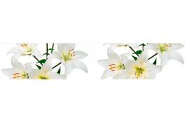 Стеновая панель 200 ПР лилия