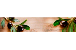 Стеновая панель 200 ПР маслины