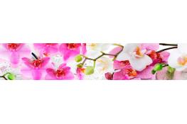 Стеновая панель 200 ПР орхидея
