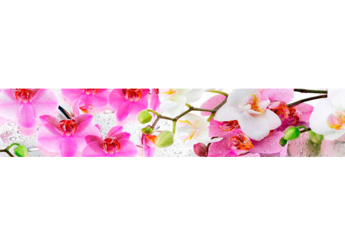 Стеновая панель 200 ПР орхидея