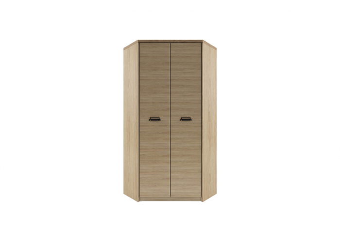 Шкаф угловой Анрэкс DIESEL 2D