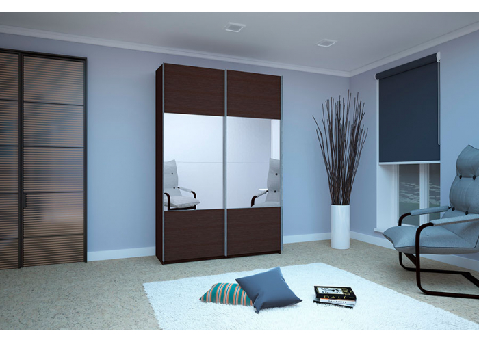 Шкаф-купе Е1 120х57х230 Прайм ДЗ-2