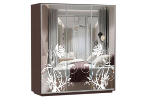 Шкаф-купе Сенатор 180х60х220 Трио Астра