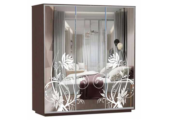 Шкаф-купе Сенатор 180х60х220 Трио Астра