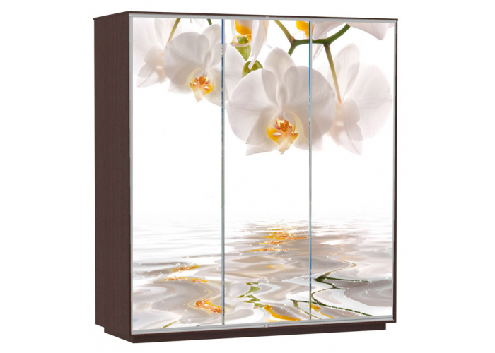 Шкаф-купе Сенатор 180х60х220 Трио Орхидеи
