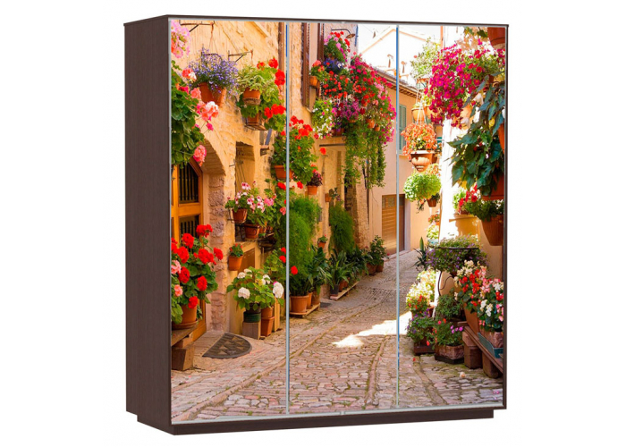 Шкаф-купе Сенатор 180х60х220 Трио Цветочная улица