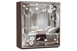 Шкаф-купе Сенатор 180х60х220 Трио Ветка