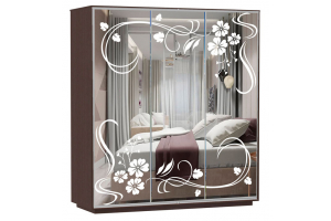 Шкаф-купе Сенатор 180х60х220 Трио Ветка