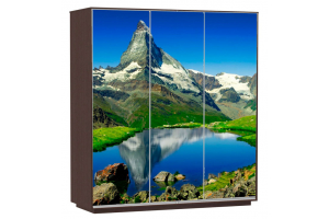 Шкаф-купе Сенатор 210х60х220 Трио Горы