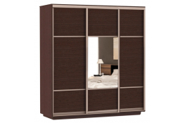 Шкаф-купе Сенатор 210х60х220 Трио Комби 1 / Комби 2