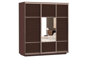 Шкаф-купе Сенатор 210х60х220 Трио Комби 1 / Комби 2