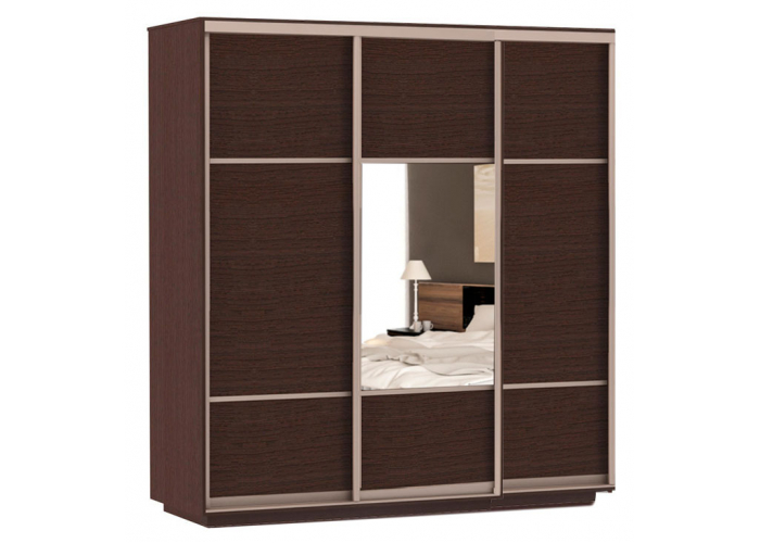 Шкаф-купе Сенатор 210х60х220 Трио Комби 1 / Комби 2