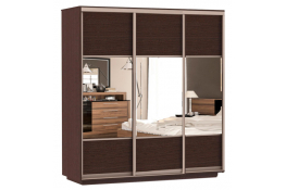 Шкаф-купе Сенатор 210х60х220 Трио Комби 2