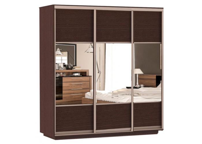 Шкаф-купе Сенатор 210х60х220 Трио Комби 2