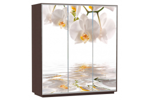 Шкаф-купе Сенатор 210х60х220 Трио Орхидеи
