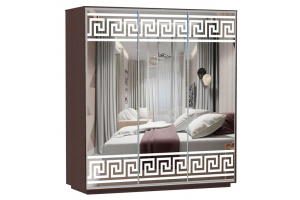 Шкаф-купе Сенатор 210х60х220 Трио Версаче