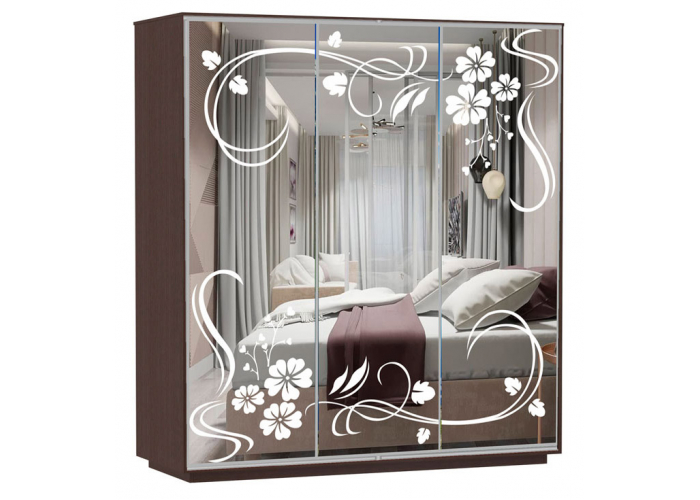 Шкаф-купе Сенатор 210х60х220 Трио Ветка