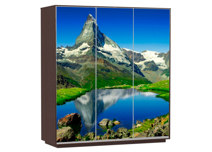 Шкаф-купе Сенатор 240х60х220 Трио Горы