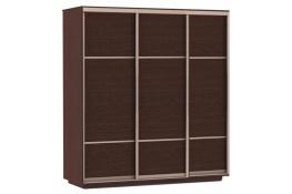 Шкаф-купе Сенатор 240х60х220 Трио Комби 1