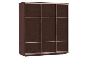 Шкаф-купе Сенатор 240х60х220 Трио Комби 1