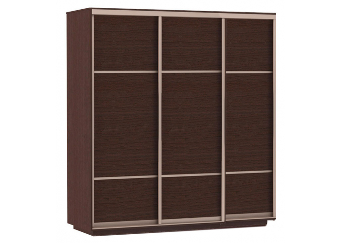 Шкаф-купе Сенатор 240х60х220 Трио Комби 1