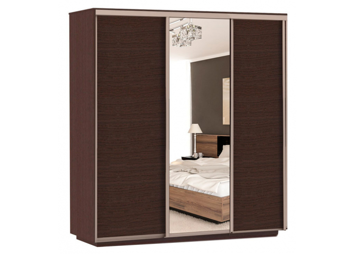 Шкаф-купе Сенатор 240х60х220 Трио Комби 3 / Комби 4