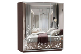 Шкаф-купе Сенатор 240х60х220 Трио Лиана