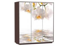 Шкаф-купе Сенатор 240х60х220 Трио Орхидеи