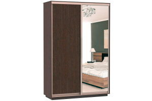 Шкаф-купе Сенатор 120х45х220 Класс Комби 3 / Комби 4