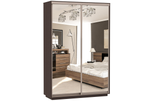 Шкаф-купе Сенатор 160х60х220 Класс Комби 4