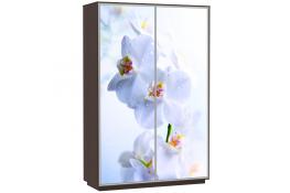 Шкаф-купе Сенатор 120х60х220 Класс Орхидеи