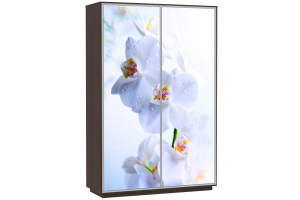 Шкаф-купе Сенатор 160х45х220 Класс Орхидеи