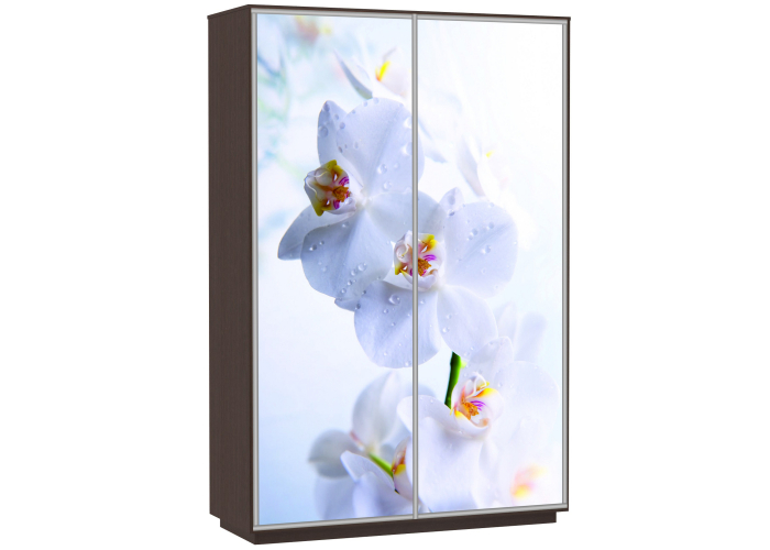 Шкаф-купе Сенатор 180х60х220 Класс Орхидеи