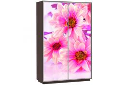 Шкаф-купе Сенатор 140х60х220 Класс Цветы