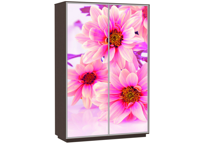 Шкаф-купе Сенатор 160х60х220 Класс Цветы