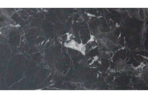 Стеновая панель СБК Грей Кунгур №921