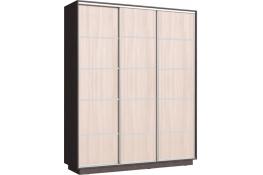 Шкаф-купе Сенатор 180х60х220 Трио Комби 5