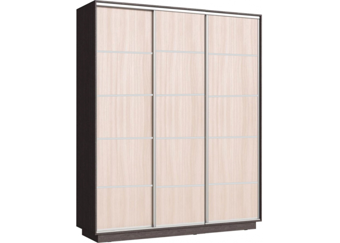 Шкаф-купе Сенатор 210х60х220 Трио Комби 5