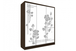 Шкаф-купе Победа П-3-31