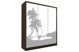 Шкаф-купе Победа П-3-14