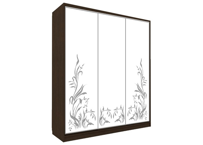 Шкаф-купе Победа П-3-06