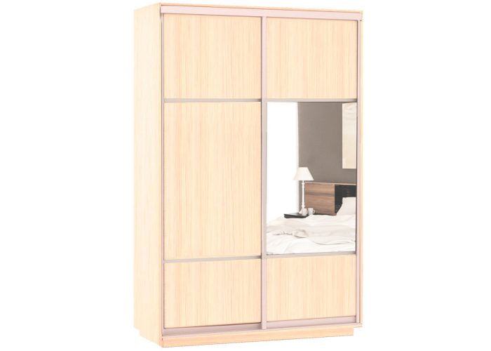 Шкаф-купе Сенатор 120х45х220 Класс Комби 1 / Комби 2