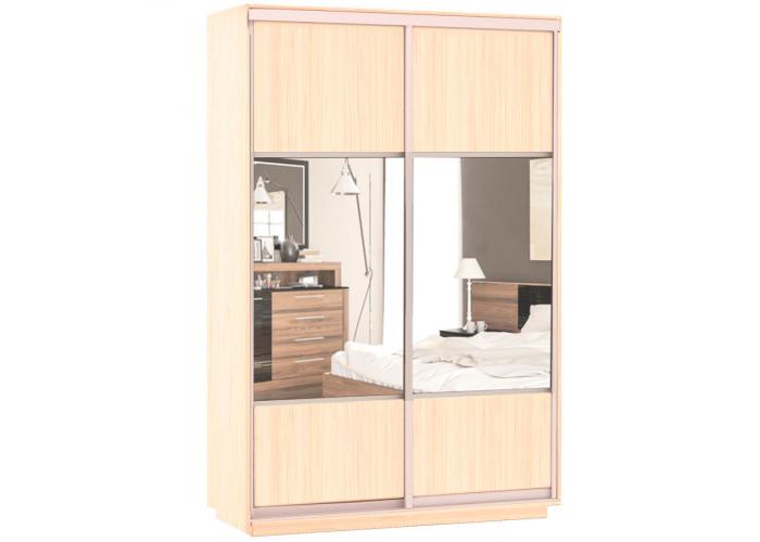 Шкаф-купе Сенатор 120х60х220 Класс Комби 2