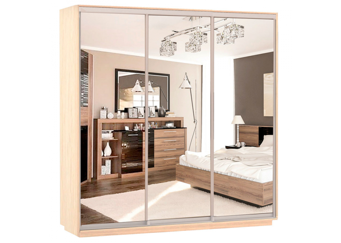 Шкаф-купе Сенатор 240х60х220 Трио Комби 4