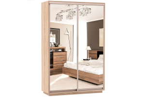 Шкаф-купе Сенатор 120х60х220 Класс Комби 4