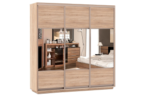 Шкаф-купе Сенатор 180х60х220 Трио Комби 2