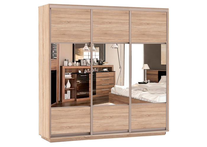 Шкаф-купе Сенатор 210х60х220 Трио Комби 2