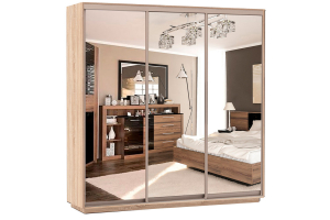 Шкаф-купе Сенатор 210х60х220 Трио Комби 4