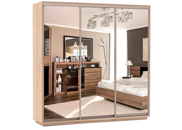 Шкаф-купе Сенатор 240х60х220 Трио Комби 4